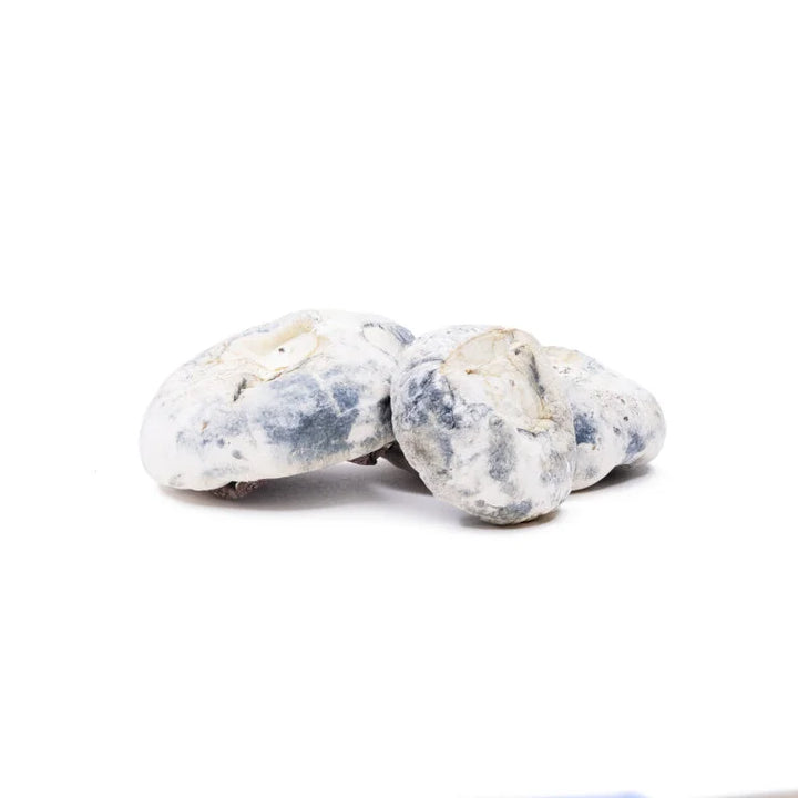 DRY SHROOMS | BLUEY VUITTON