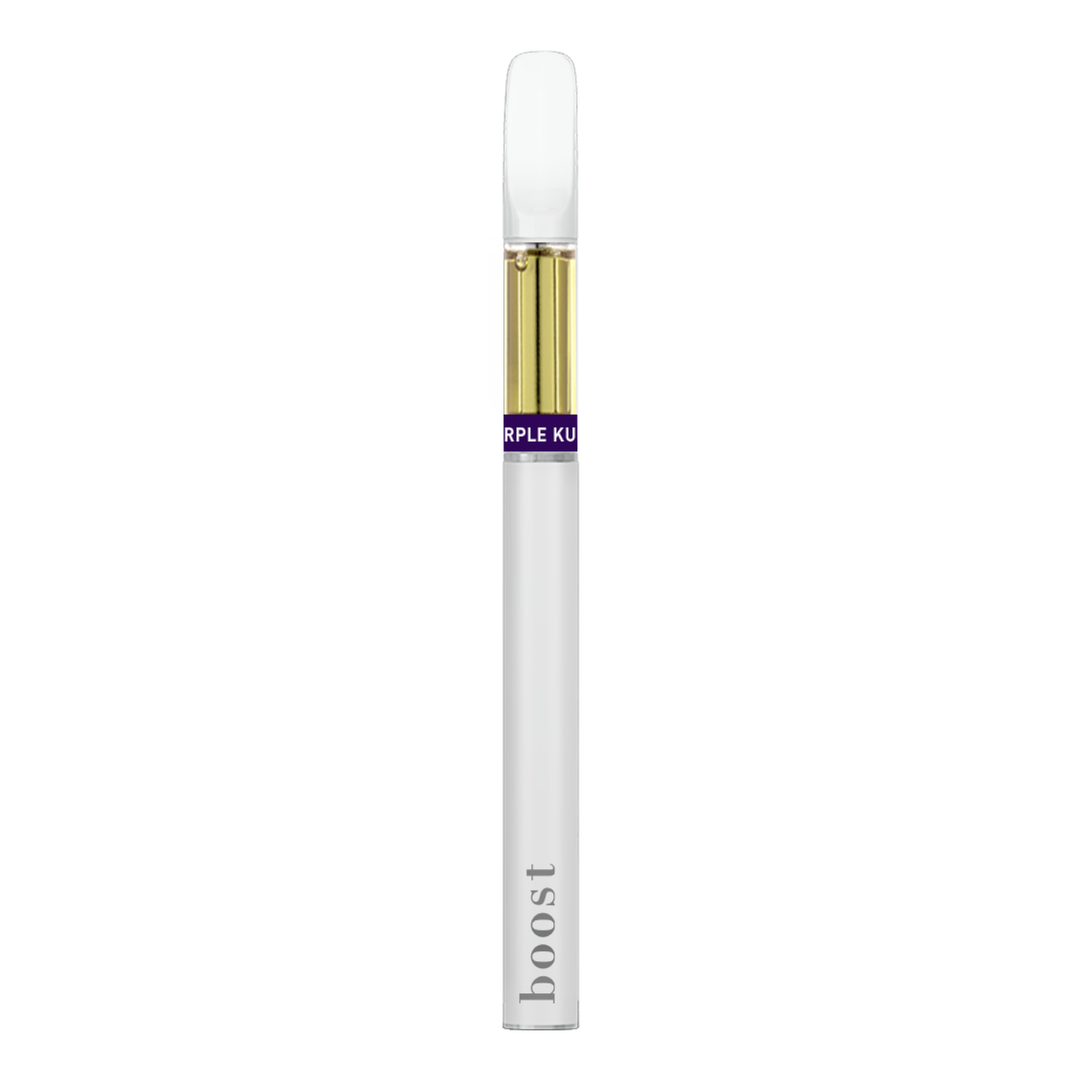 STYLO VAPE JETABLE BOOST THC | 1G