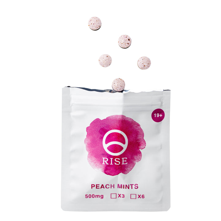 RISE SHROOMS MACRODOSE MINTS | 3000MG PSILOCYBIN