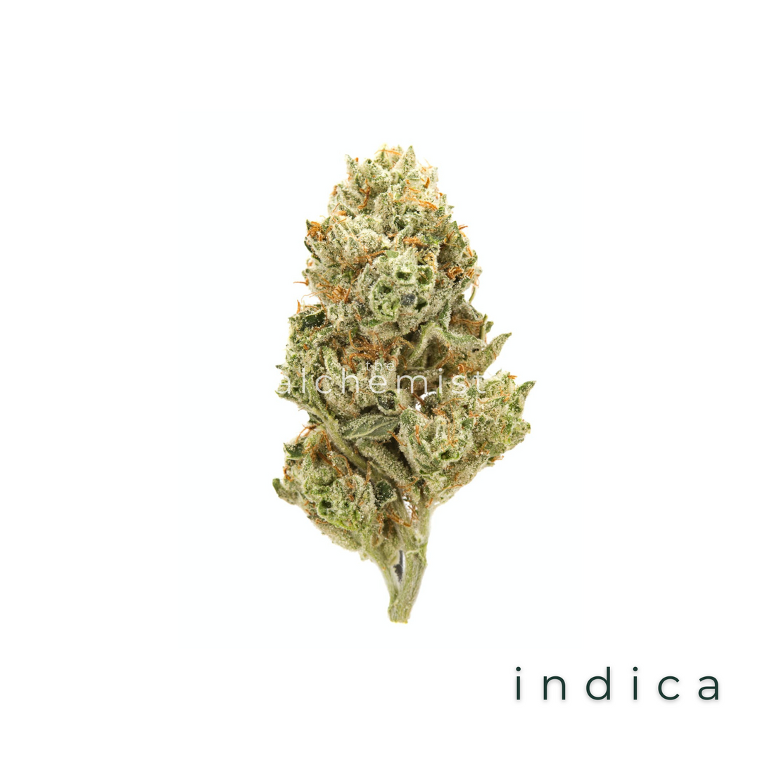 AAAA | RARE DARKNESS - INDICA