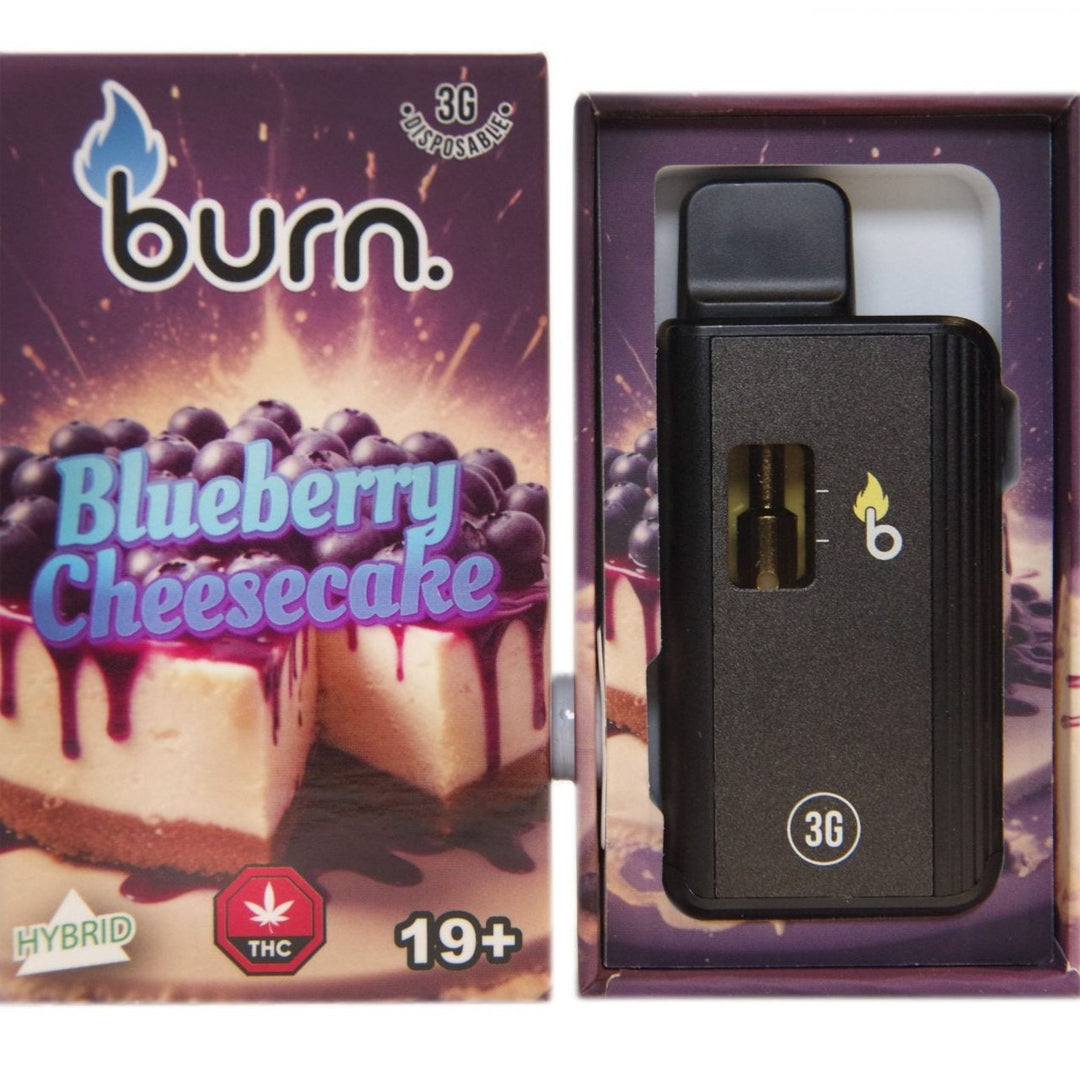 BURN. THC DISPOSABLE VAPE PEN | 3G