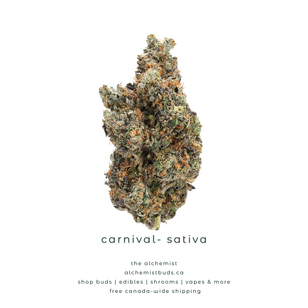 AAAA | CARNIVAL - SATIVA