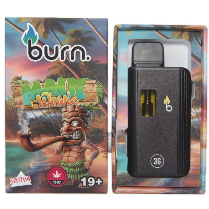 BURN. THC DISPOSABLE VAPE PEN | 3G