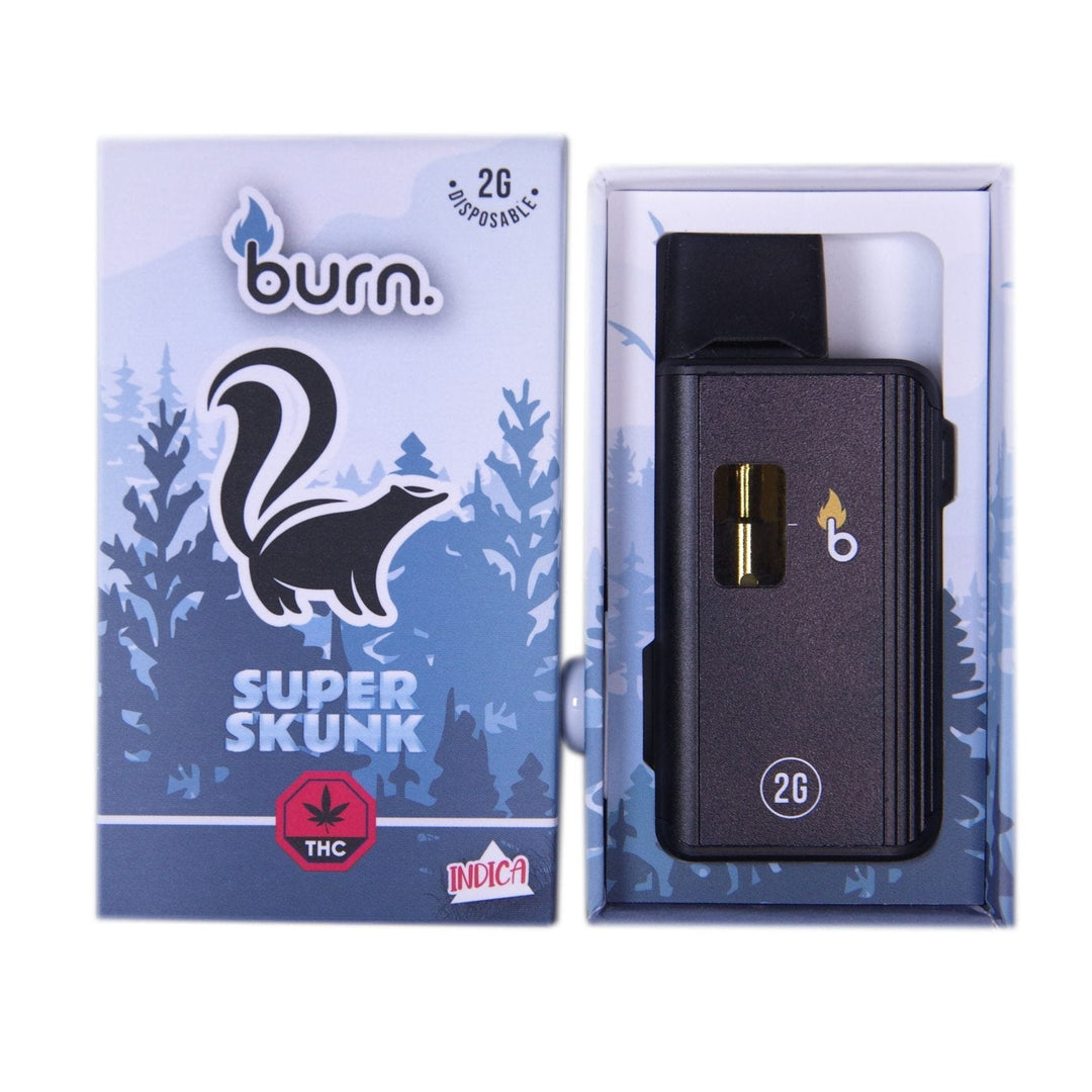 BURN. THC DISPOSABLE VAPE PEN | 2G