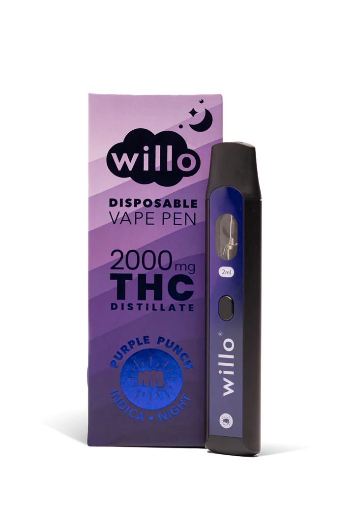 STYLO VAPE JETABLE AU THC WILLO | 2G