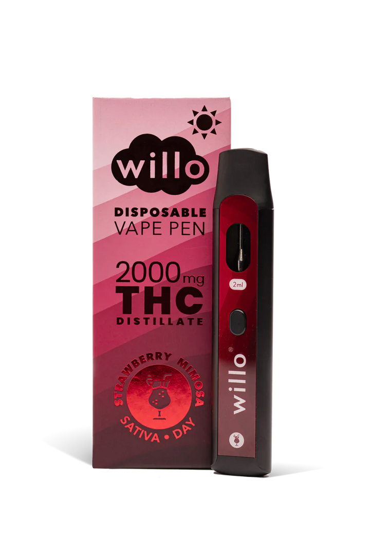 STYLO VAPE JETABLE AU THC WILLO | 2G